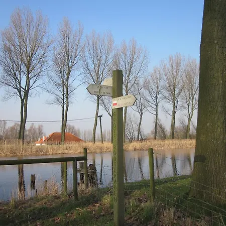 't Verloren Schaap 4* Damme