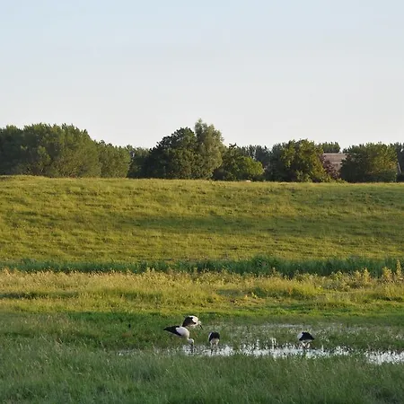 't Verloren Schaap Panzió Damme